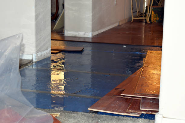 Professional Burst Pipe Cleanup technician working in Greeley, KS